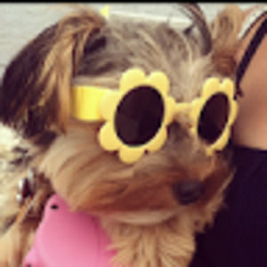 Meet your Posher, Isel